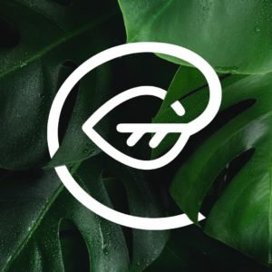 Mathilde Ludwig logo